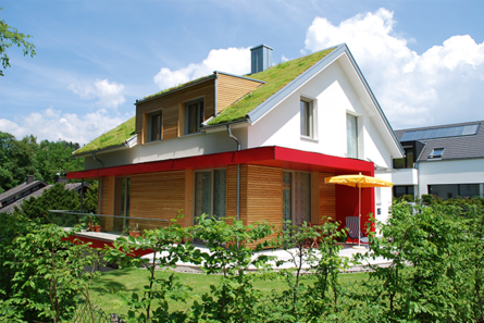 Private house - Exterior view Private house - Exterior view